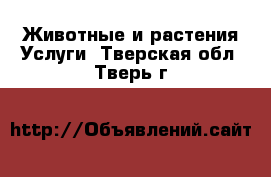 Животные и растения Услуги. Тверская обл.,Тверь г.